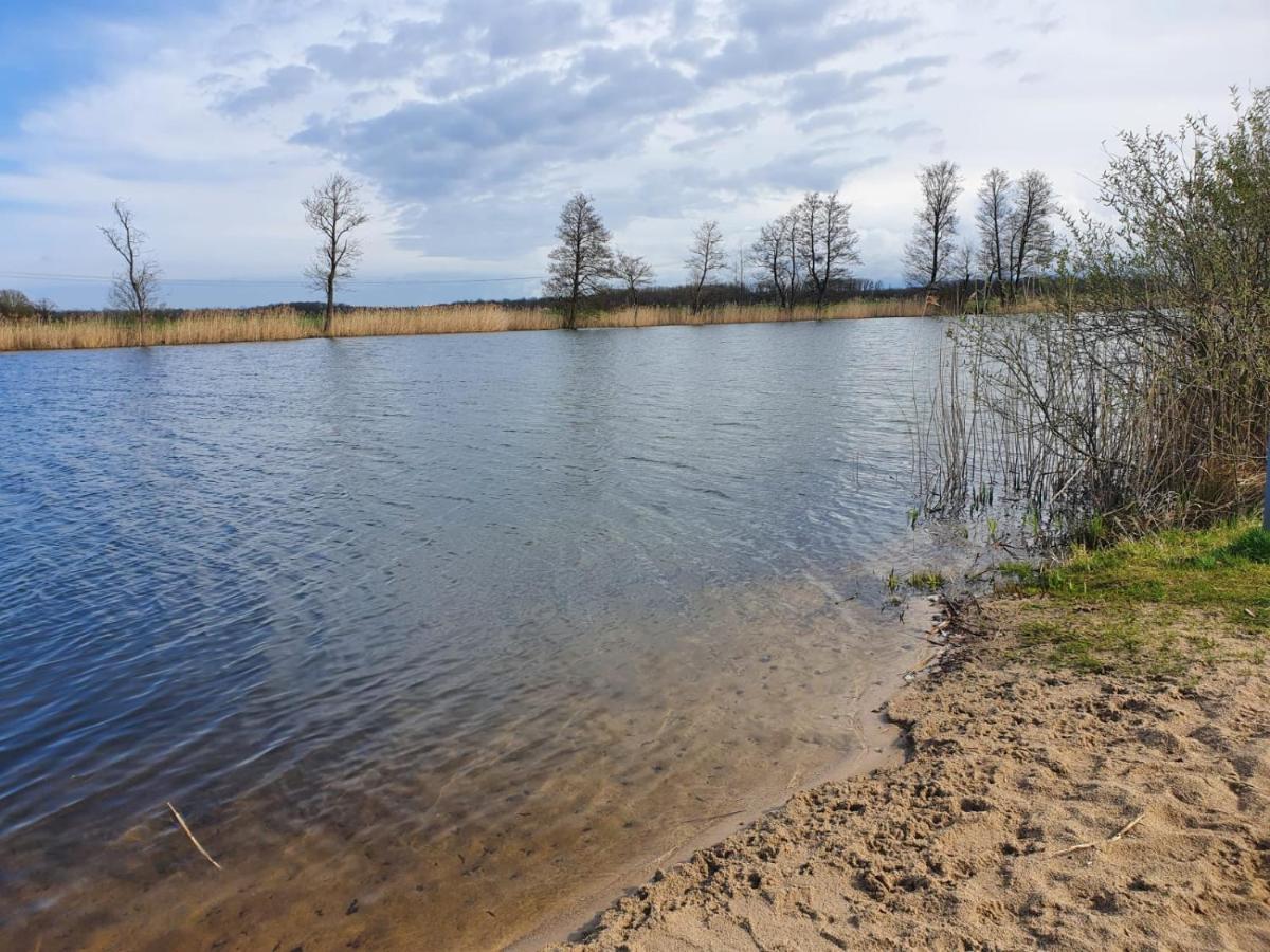 Ferienhaus Undine Mit E-Auto-Ladestation Oranienbaum-Woerlitz Exteriér fotografie